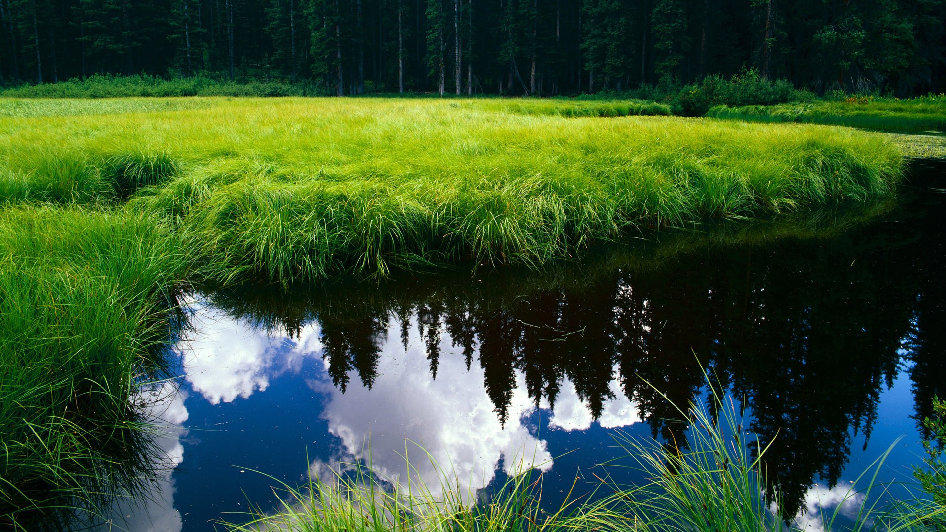 “青少年足球选材大会圆满结束，培养未来之星”，中国青少年足球选拔机制