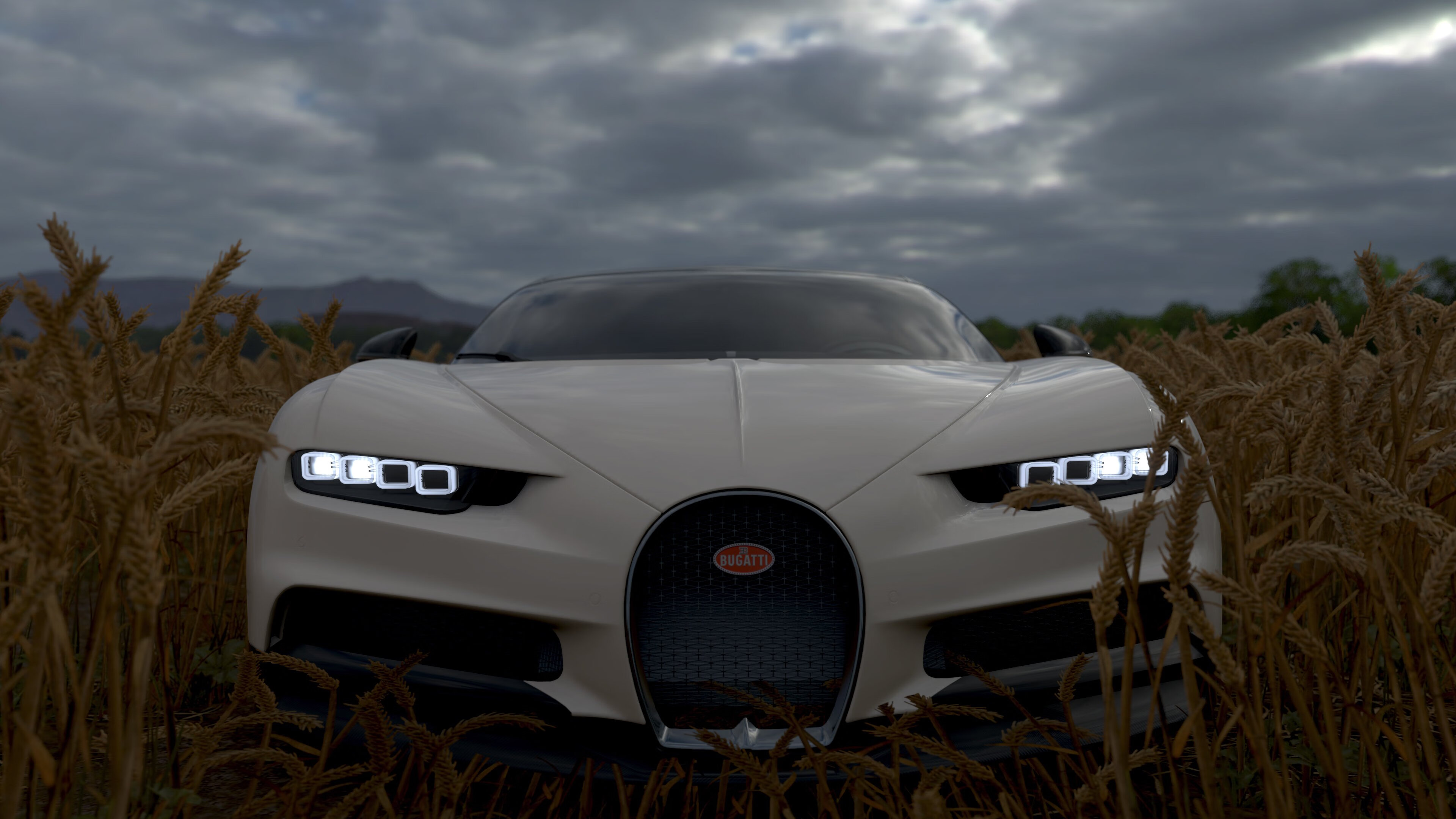 《幕后故事：知名选手的专属训练秘笈》，幕后成员