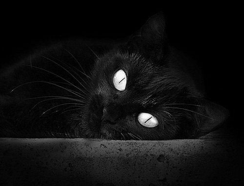 中国足协与FIFA合作，推动足球发展，中国足协合作伙伴