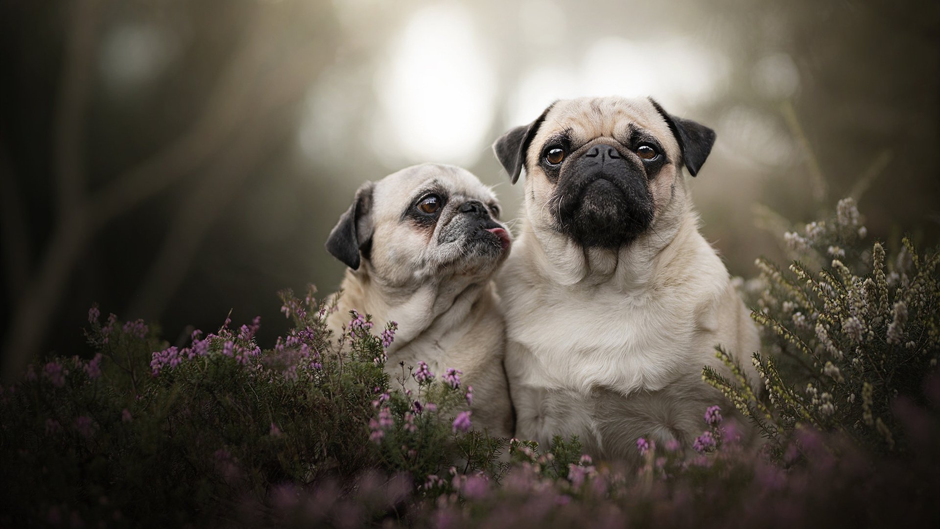 右脑运动会：智力与体能的双重考验，右脑活动项目有哪些